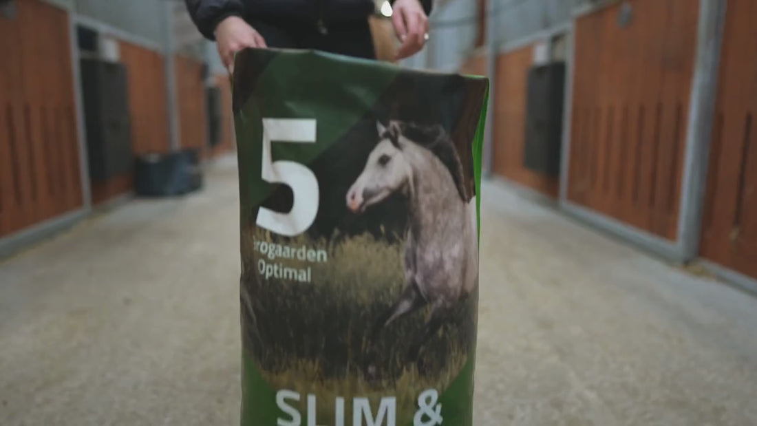 Indlæs video: 