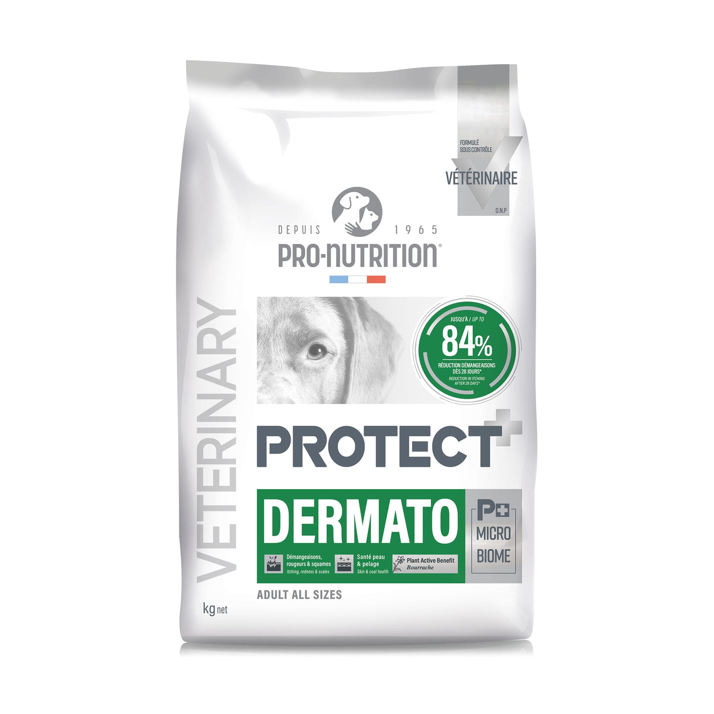 protect-dog-dermato-12.jpg