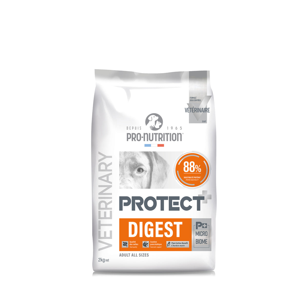 protect-dog-digest-2.jpg