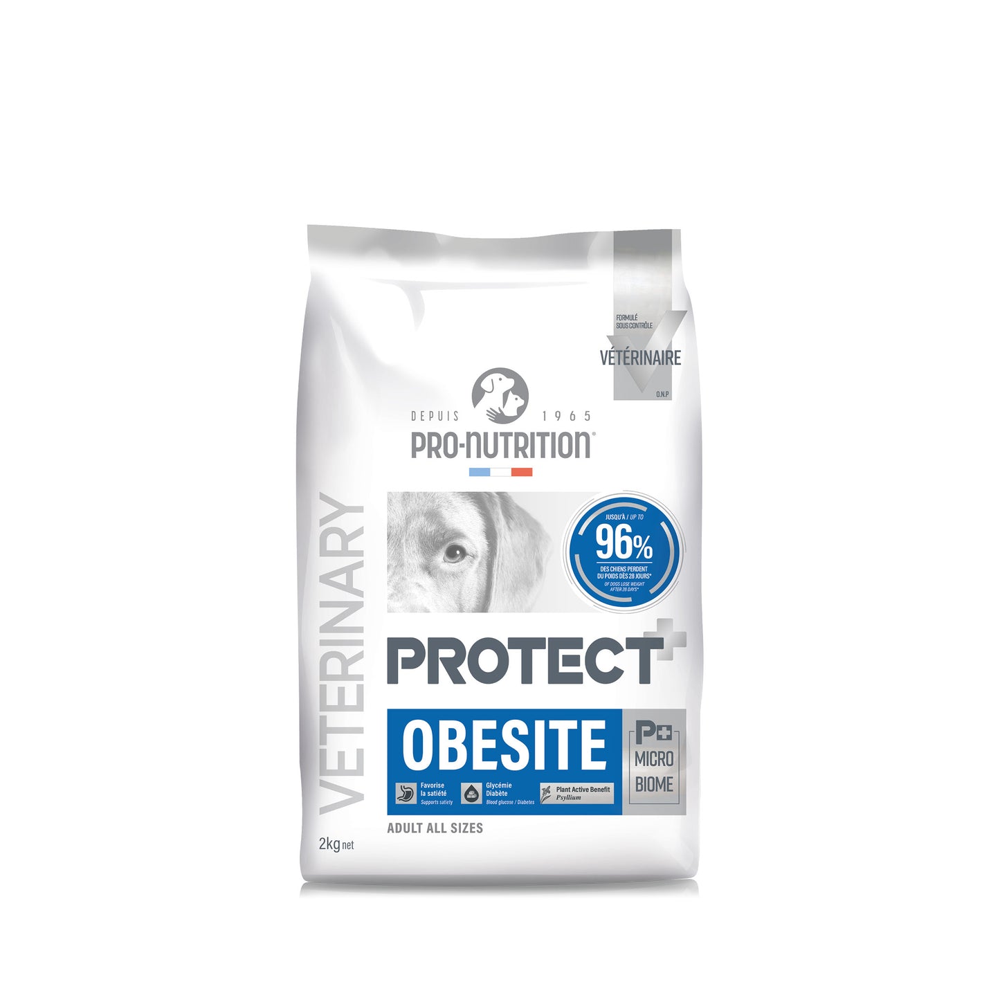 protect-dog-obesite-2.jpg