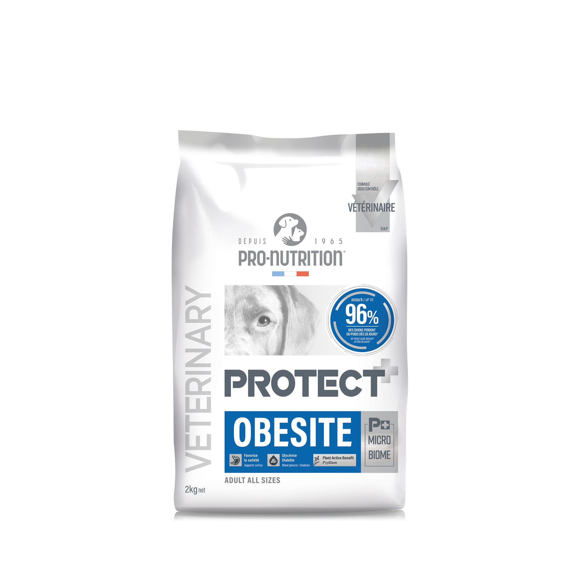 protect-dog-obesite-2.jpg
