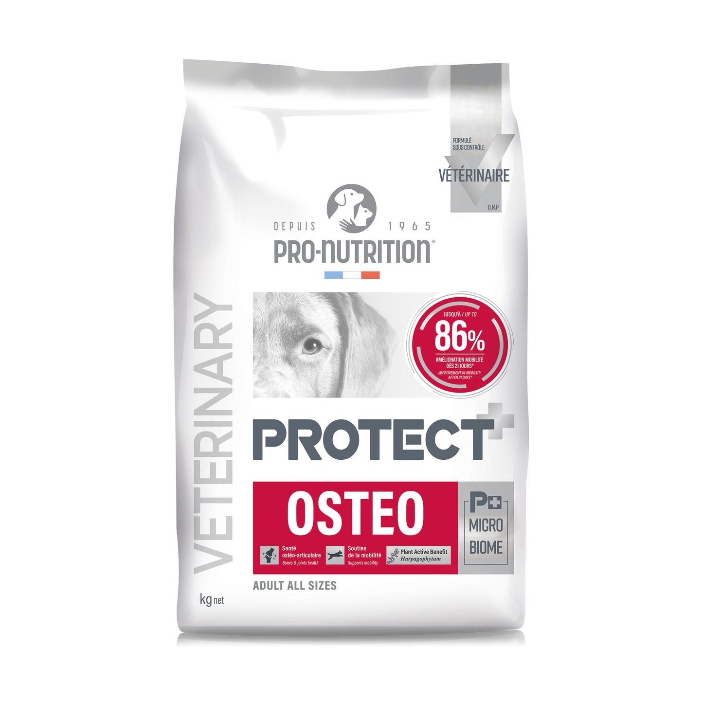 protect-dog-osteo-12.jpg