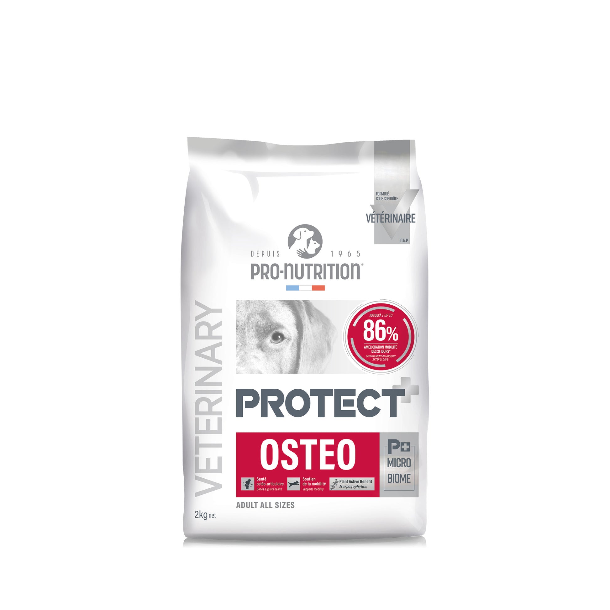 protect-dog-osteo-2.jpg