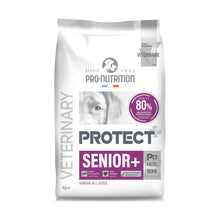 protect-dog-senior-12.jpg