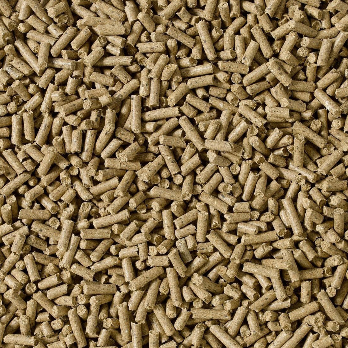 saracen-condi-cubes.jpg