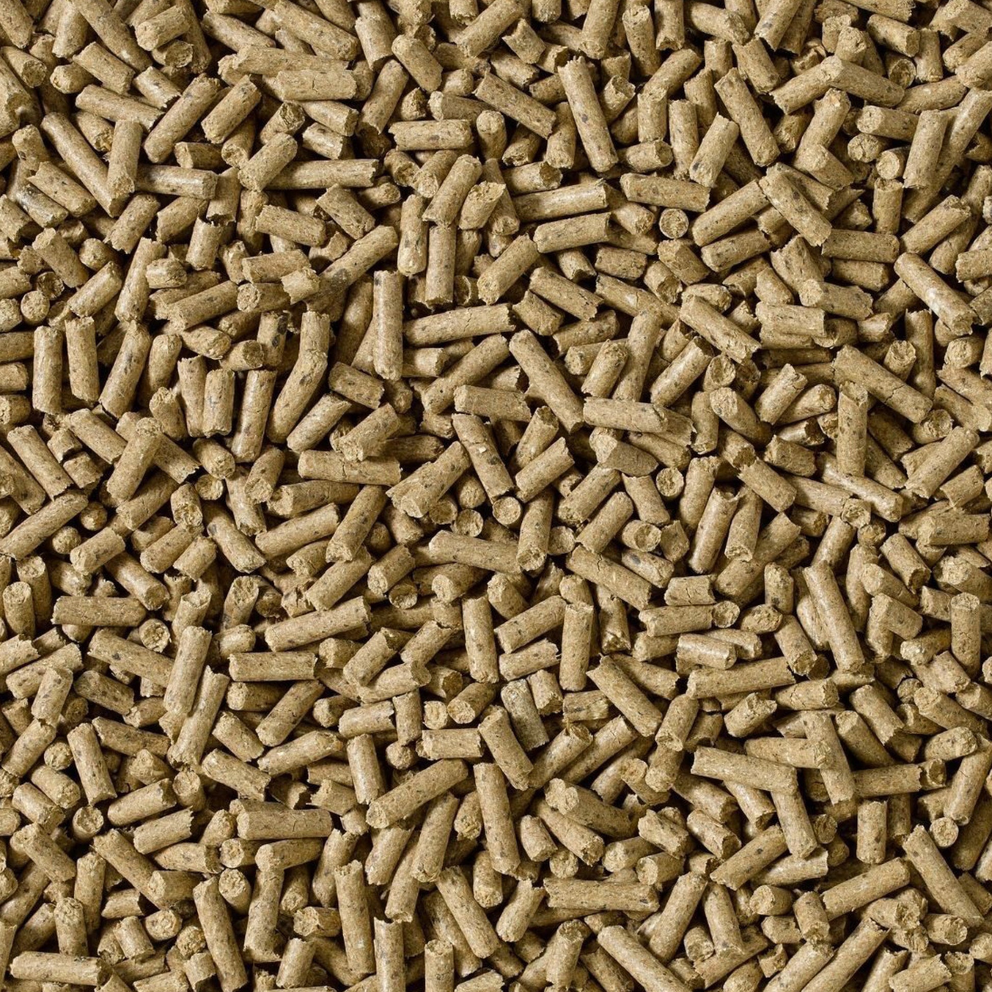 saracen-condi-cubes.jpg