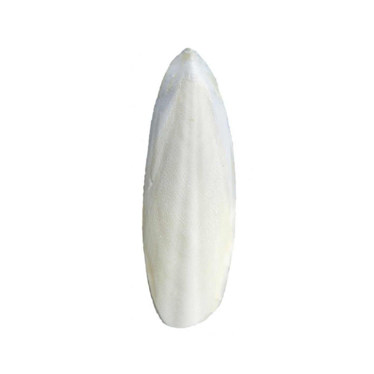 Sepiaskaller - 1 kg