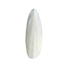 Sepiaskaller - 1 kg
