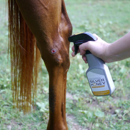 silver-honey-spray-1.jpg