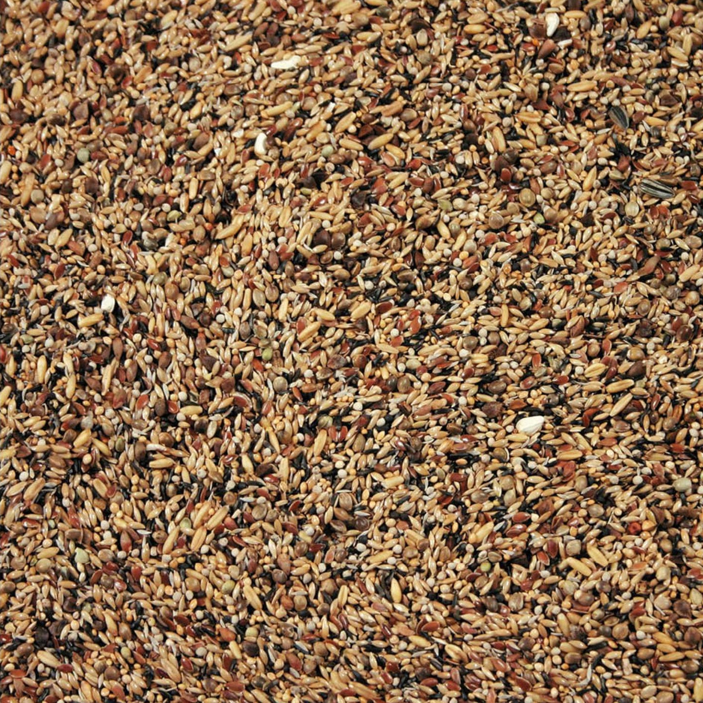 Skovfugleblanding Original - 18 kg