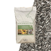 Solsikkefrø - Stribet - 15 kg