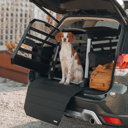 thule-allax-hund.jpg