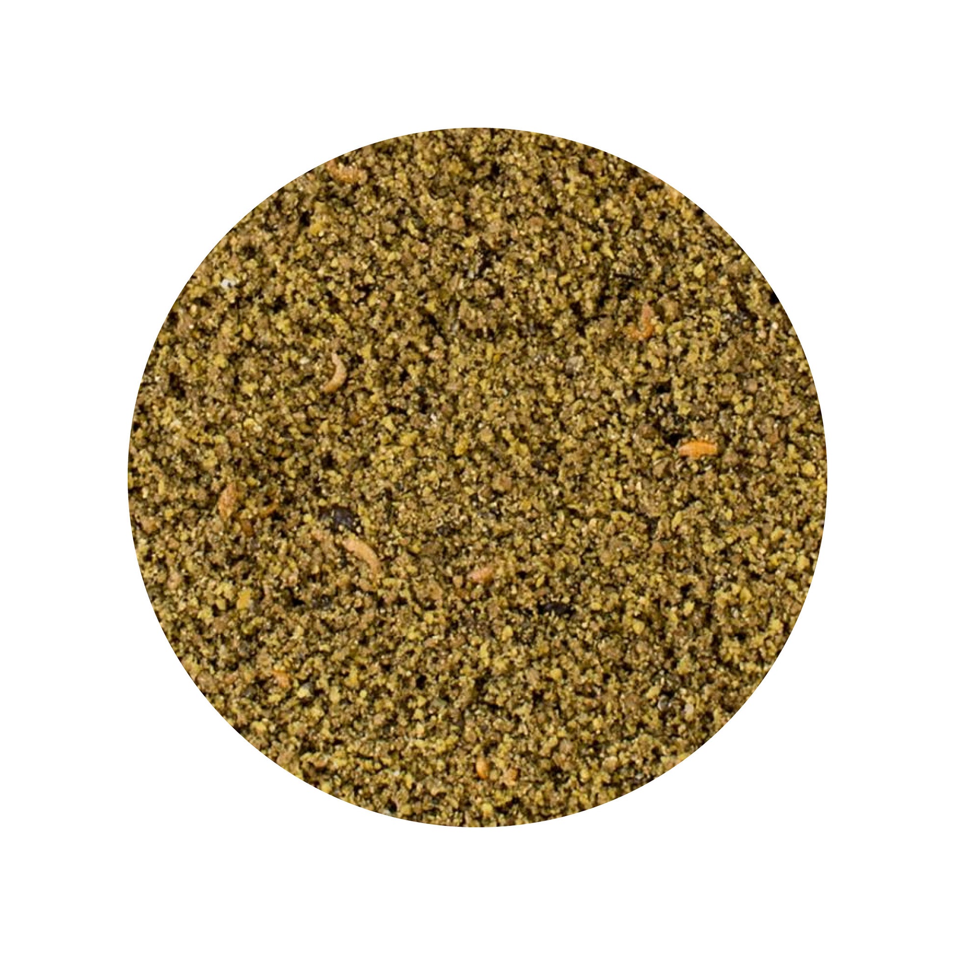 witten-mole-uni.jpg