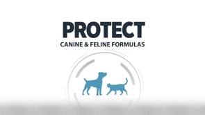 Protect Cat Obesite - 2 kg