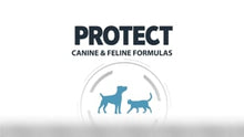 Protect Dog Osteo - 12 kg