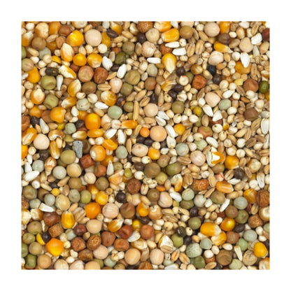 Vanrobaeys Super Special Nr. 20 sæk med 20kg