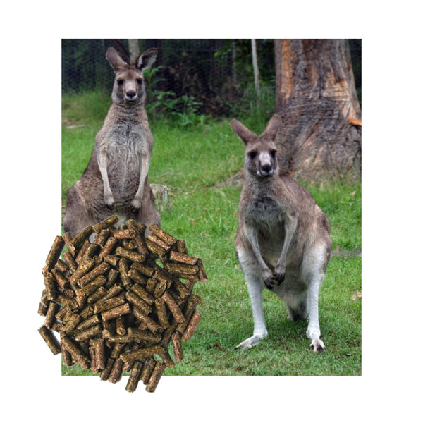 gyde Spænde Fordampe Kangaroo & Wallaby foder - 20kg