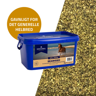 Seaweed (Havalger) er gavnlig for hestens generelle helbred og pelskvalitet