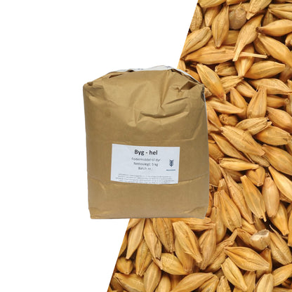 Hele bygkerner 5kg