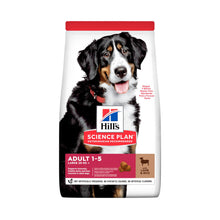 Hills Large Breed Adult hundefoder med lam og ris