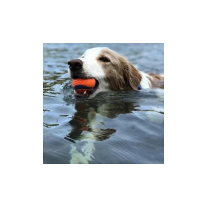 Chuckit Ultra Ball - Large