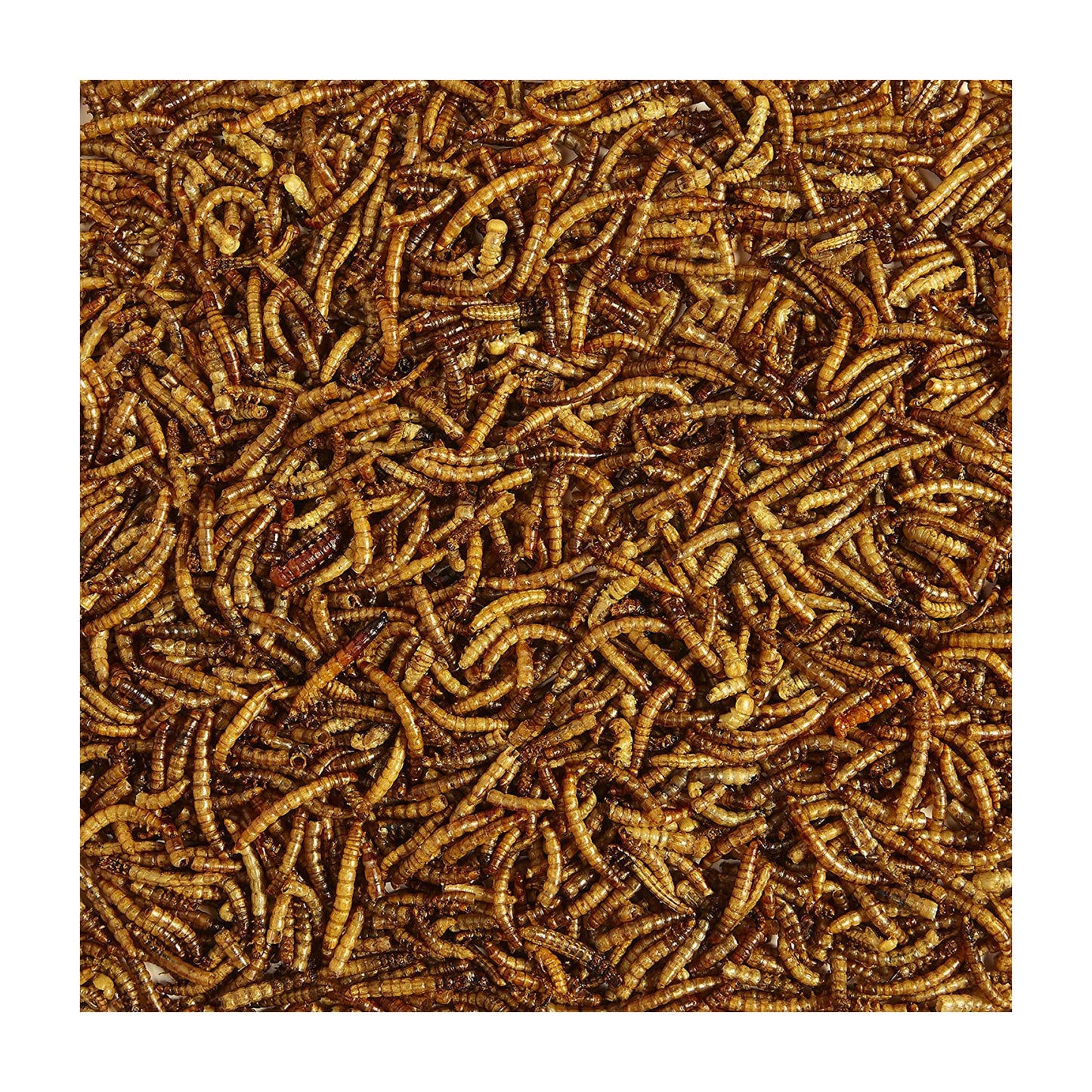 Tørrede melorme 1kg