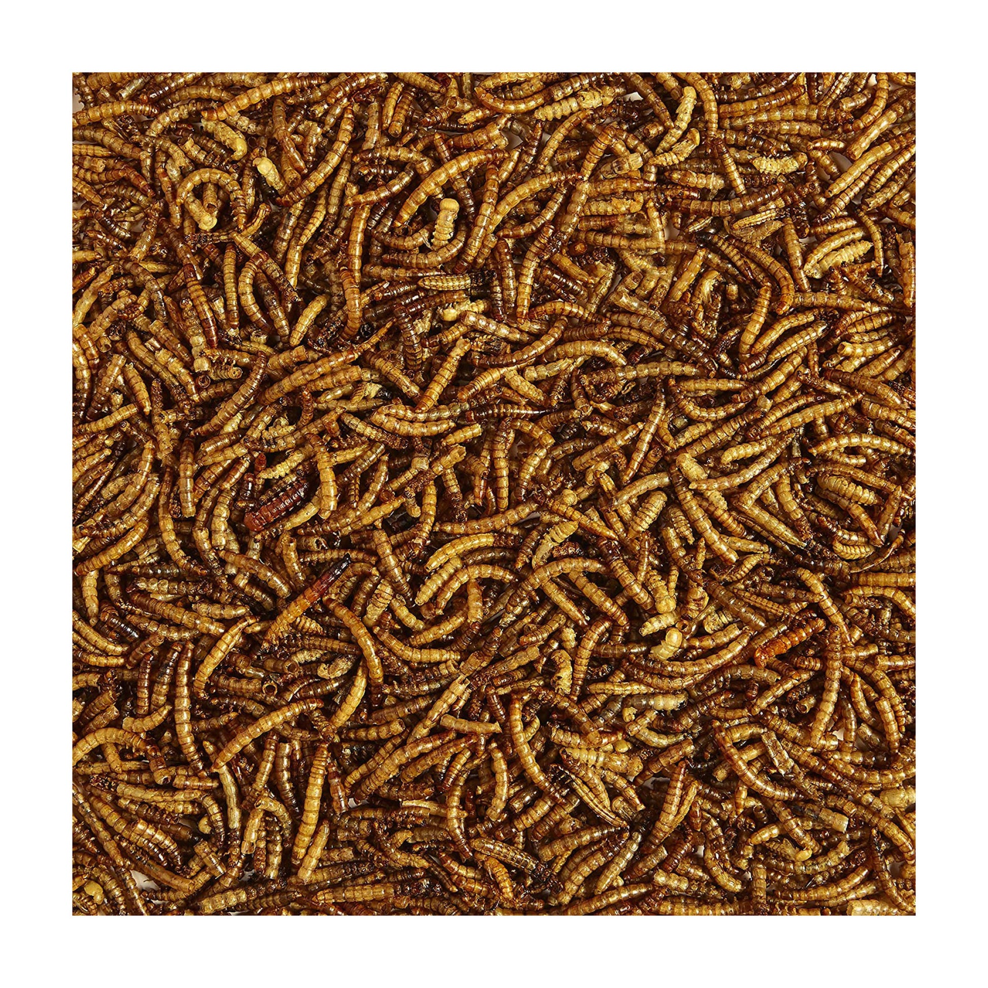 Tørrede melorme 1kg