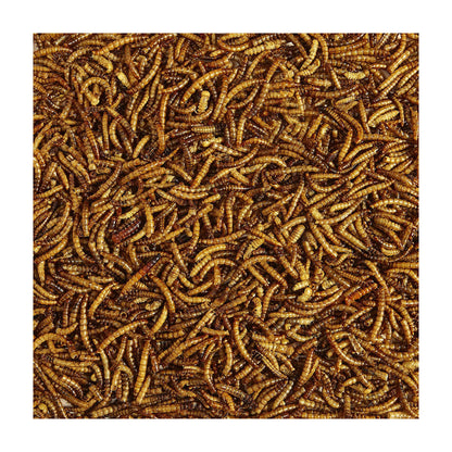 Tørrede melorme 1kg