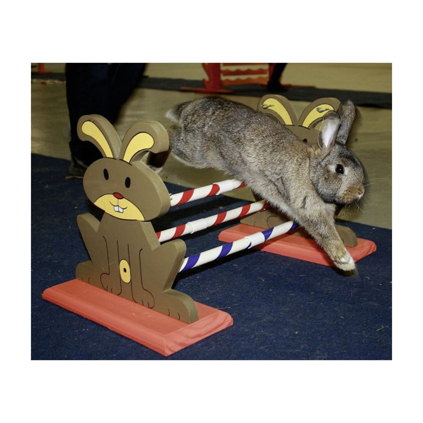 Kaninhop Agility forhindring