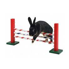 Kerbl Kaninhop Agility Spring 70x5x35 cm