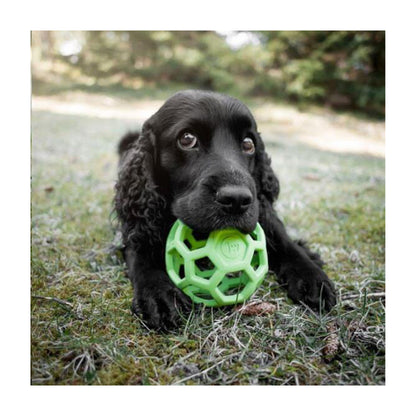 HOL-EE Roller legetøj til hunde