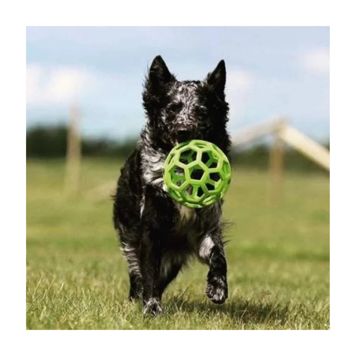HOL-EE Roller 15cm diameter
