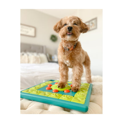 Multipuzzle Aktivering til din hund