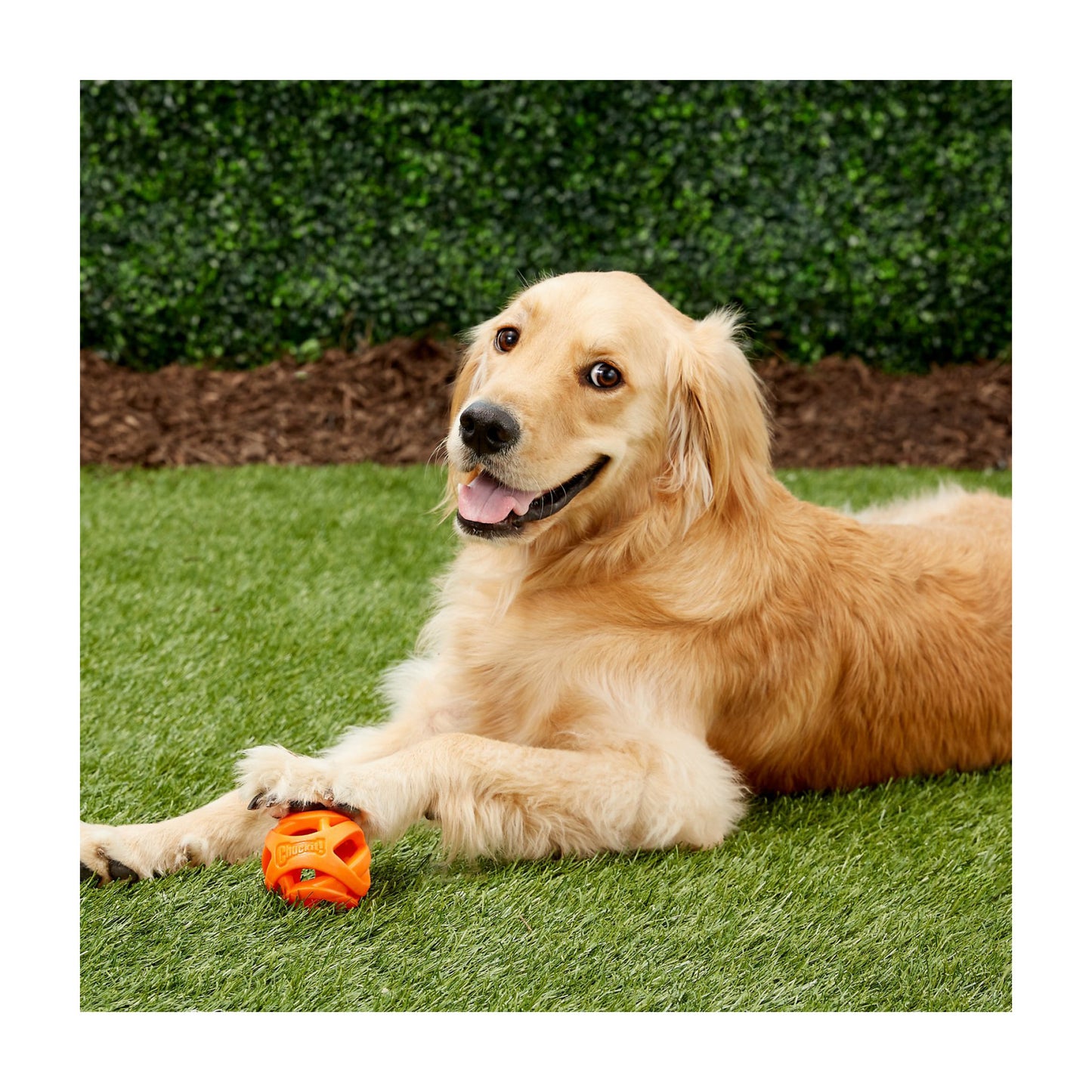 Chuckit Breathe Right fetch bold - XLarge