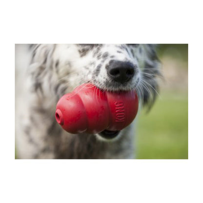 Kong Classic red