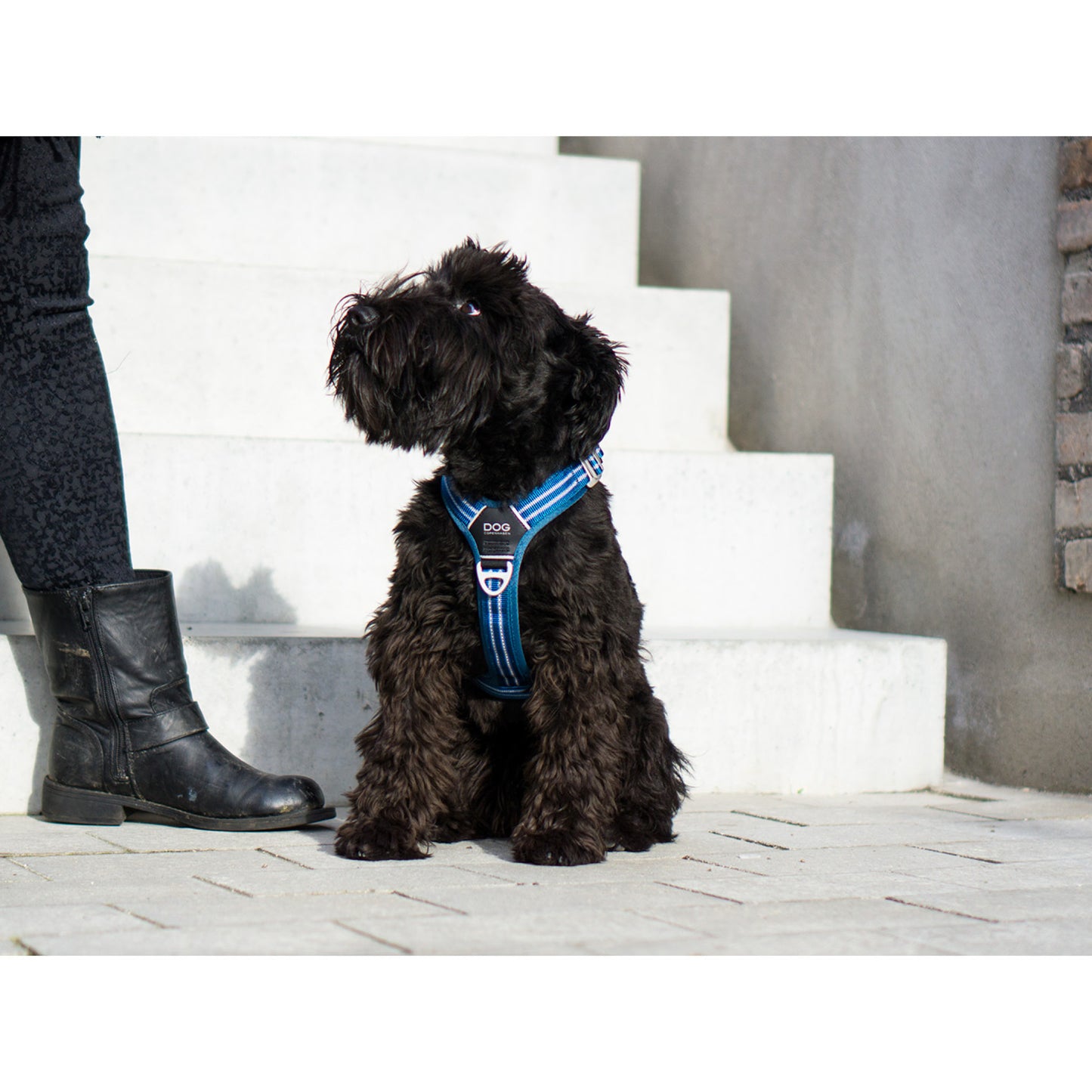 DOG Copenhagen Hundesele - Comfort Walk Air - str. XL - Sort