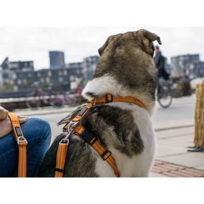 DOG Copenhagen Hundesele - Comfort Walk Air - str. XL - Blå