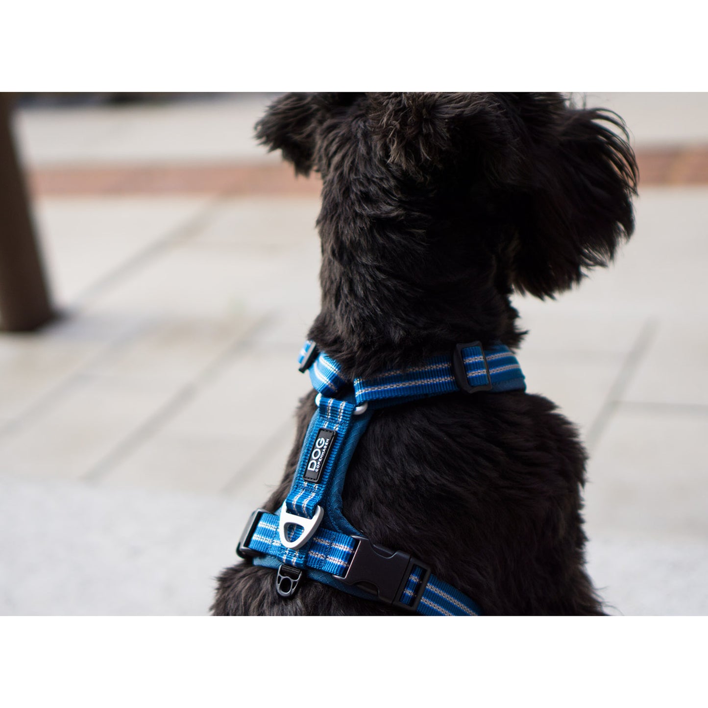 DOG Copenhagen Hundesele - Comfort Walk Air - str. XL - Sort