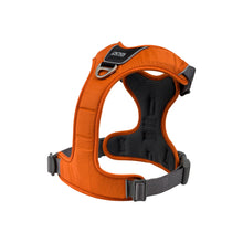 Dog Copenhagen Comfort Walk Pro sele til hunde