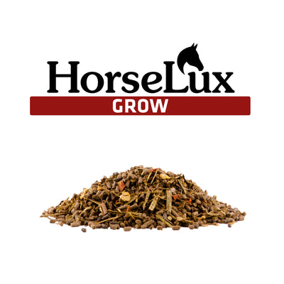 HorseLux Grow, 15kg