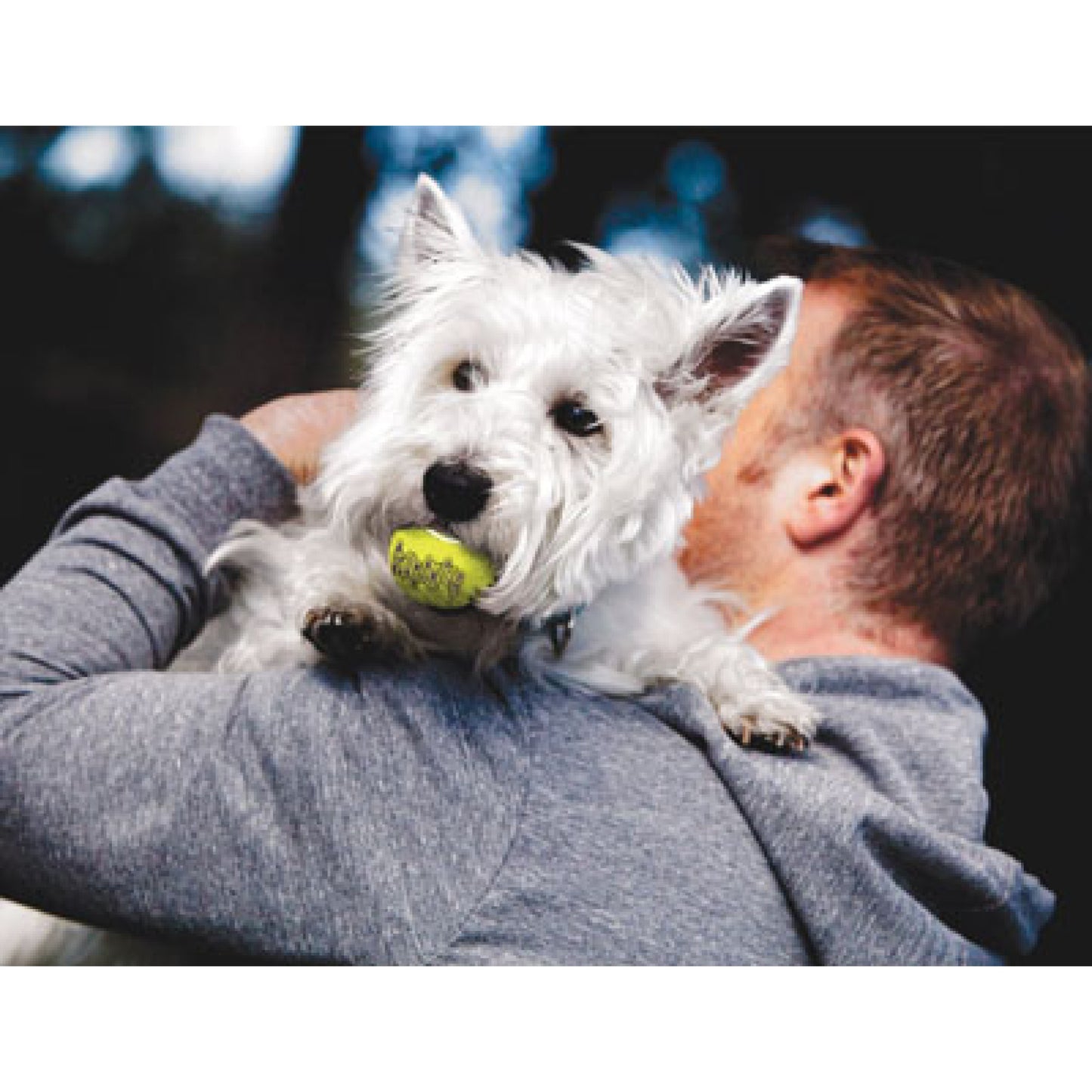 KONG SquakAir Ball - Small - 3 stk