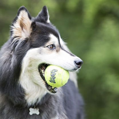 KONG SquakAir Ball - Large - 2 stk