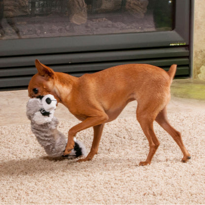 KONG Scrunch Knots Racoon - Medium/Large