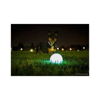 Køb bold til din hund med lys i online