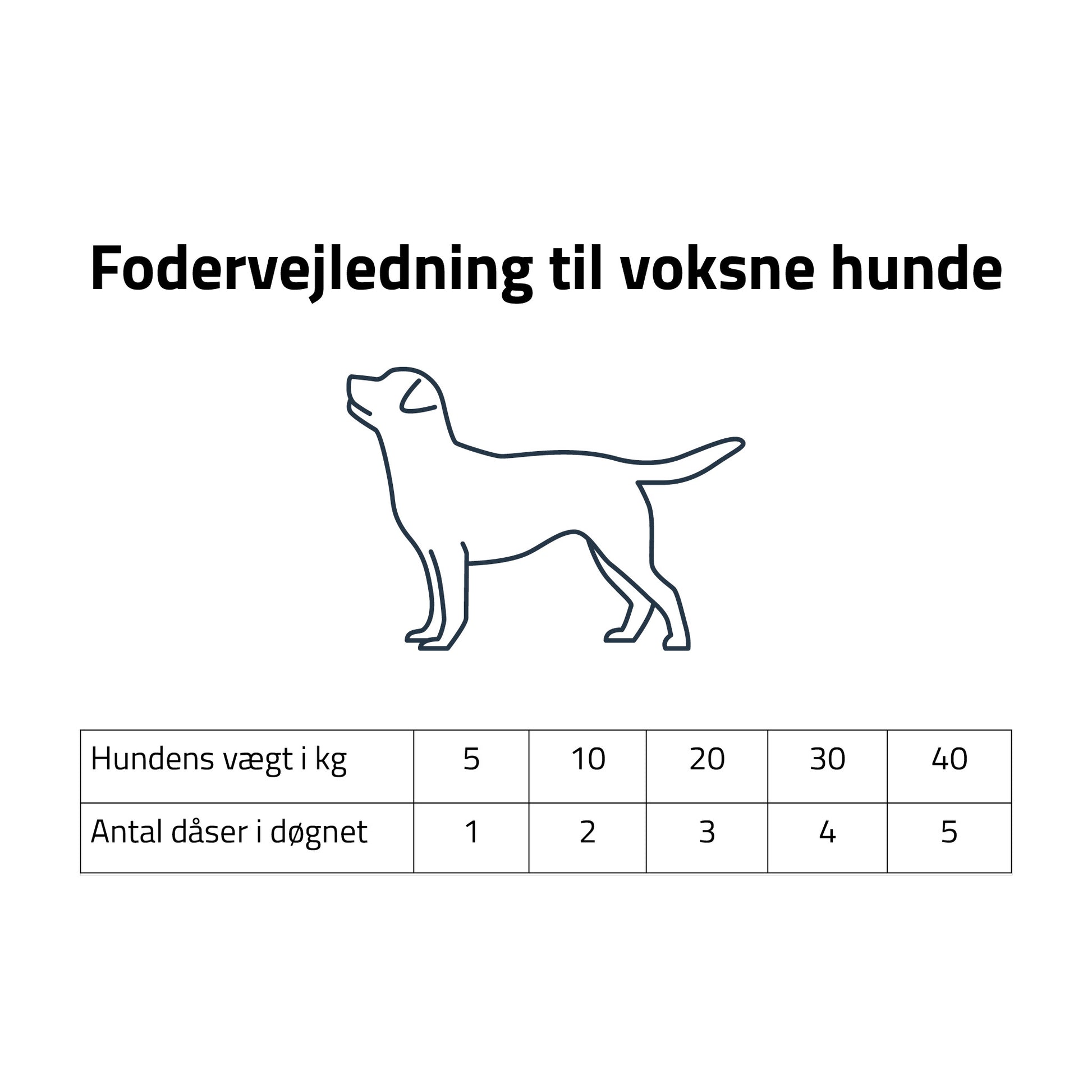 Rafi fodervejledning vådfoder voksne hunde