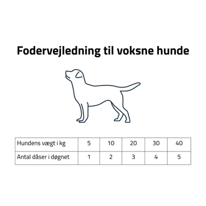 Rafi fodervejledning vådfoder voksne hunde