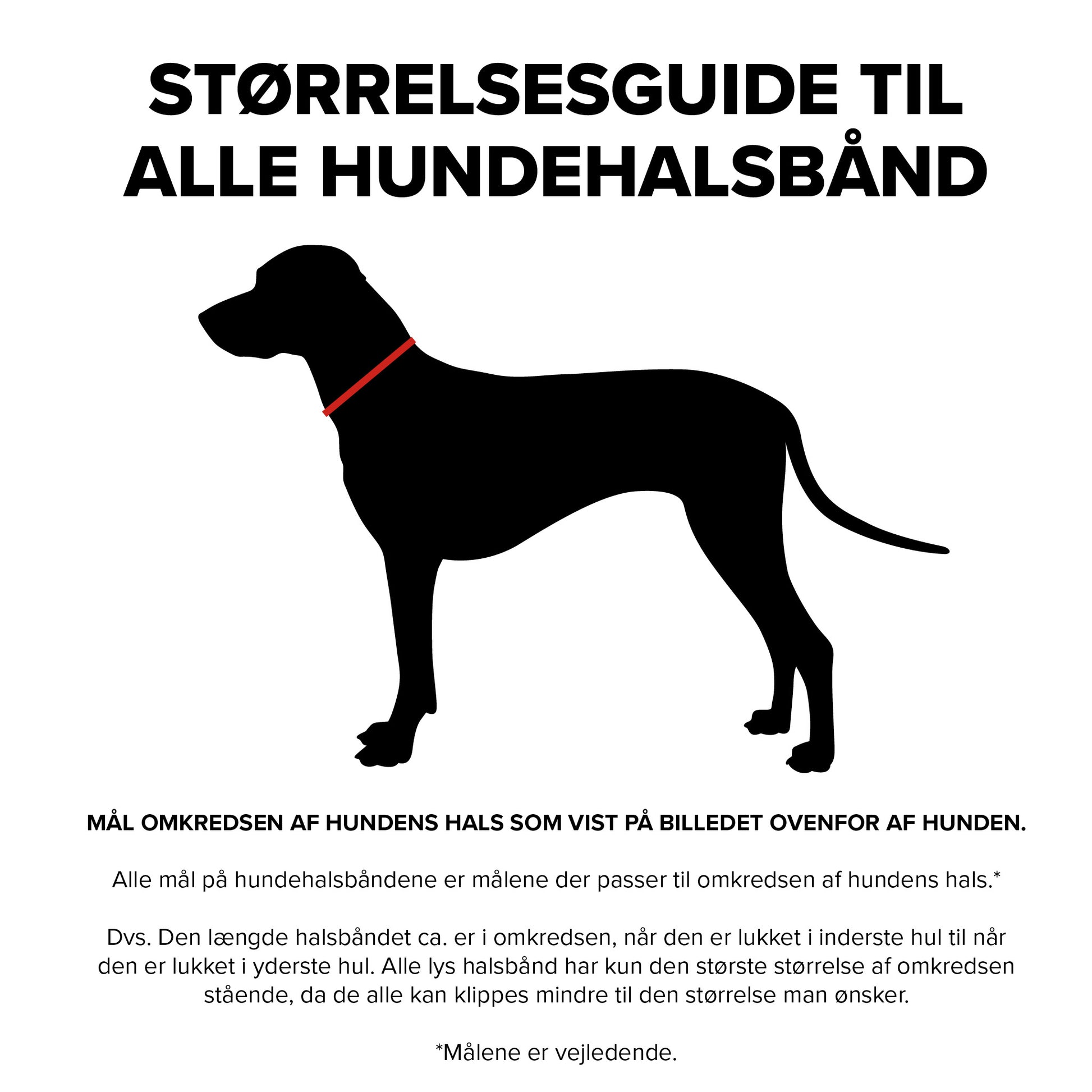 Størrelsesguide til alle hundehalsbånd.