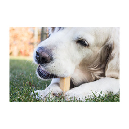 Yaki tyggesnack Gigant til hunde