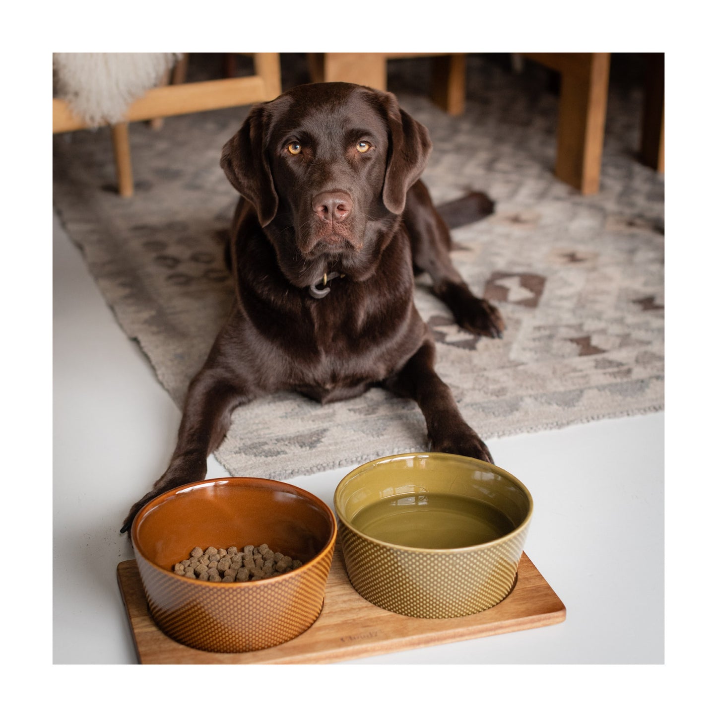 Cloud7 Alain Hundeskål - Cinnamon Brun - Medium