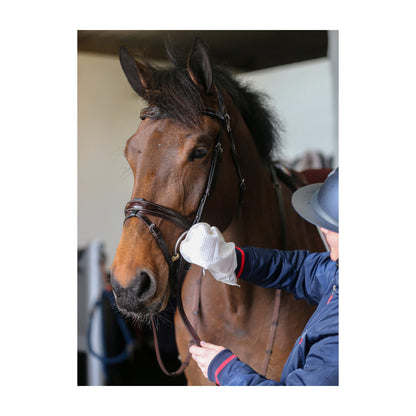 CDM Belvoir Tack Cleaning Mitt Rensehandske i 10 stk pakning til heste fra Carr & Day & Martin – billede 2